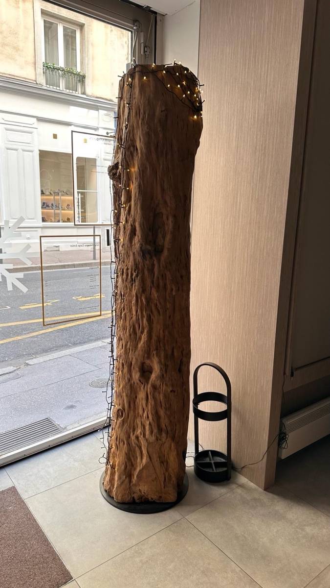 Tronc d’arbre creux