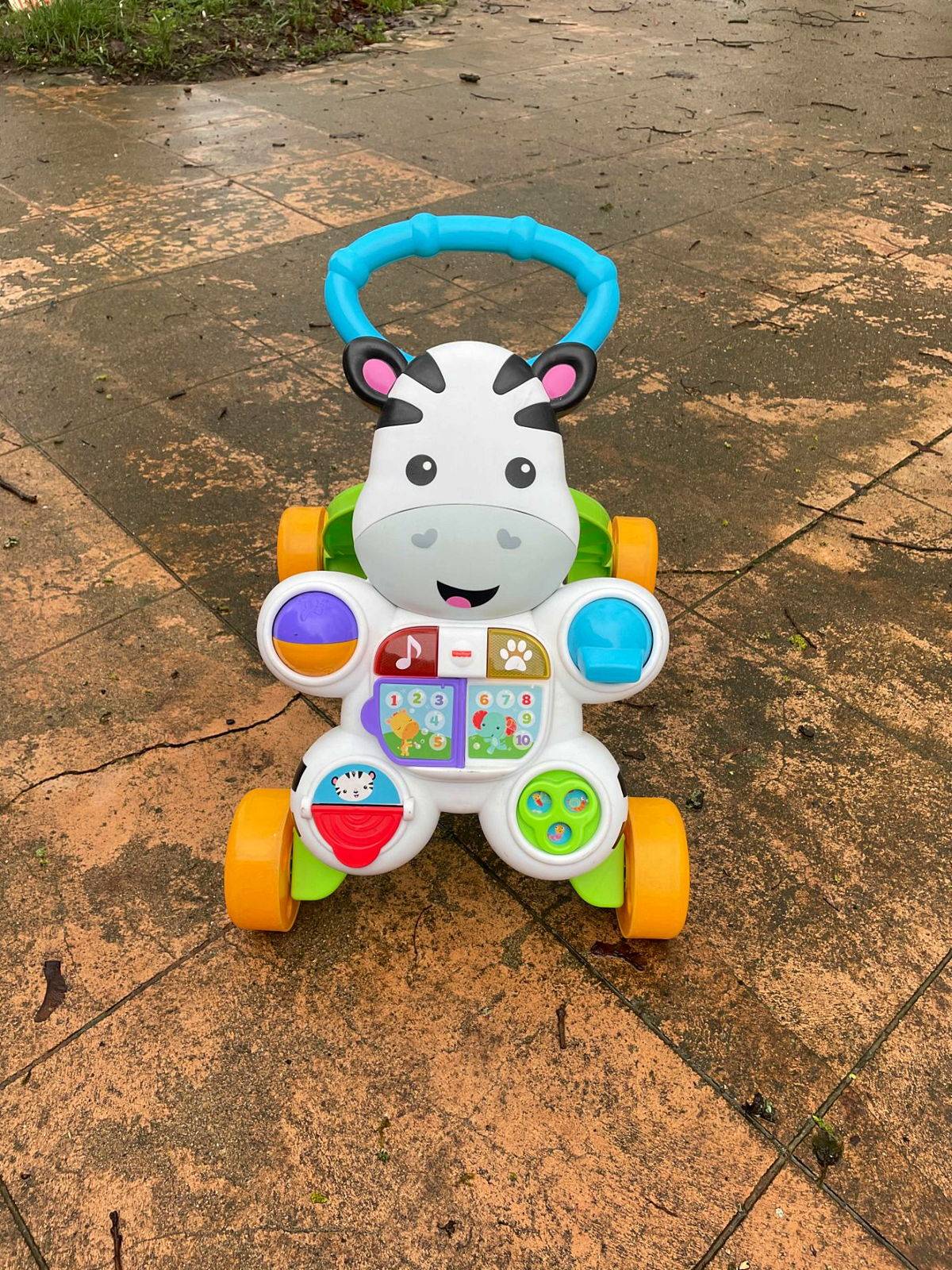 Trotteur Bebe Fisher Price Mon Trotteur Zebre Parlant Sur Gens De Confiance