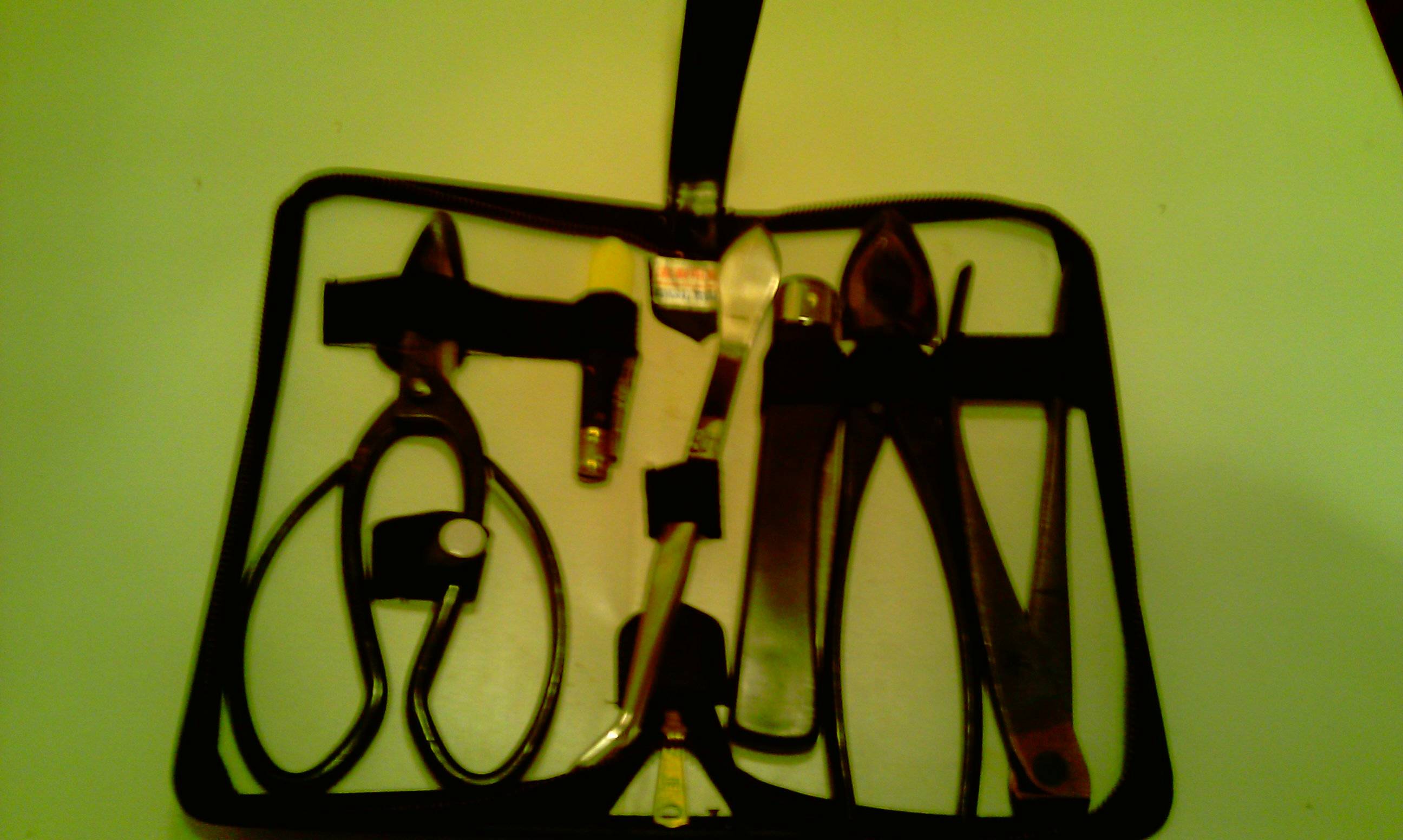 Trousse pour la culture de bonsaï