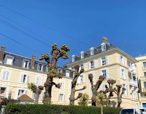 Loue appartement 4 couchages en Août - 84m², Trouville-sur-Mer (14)