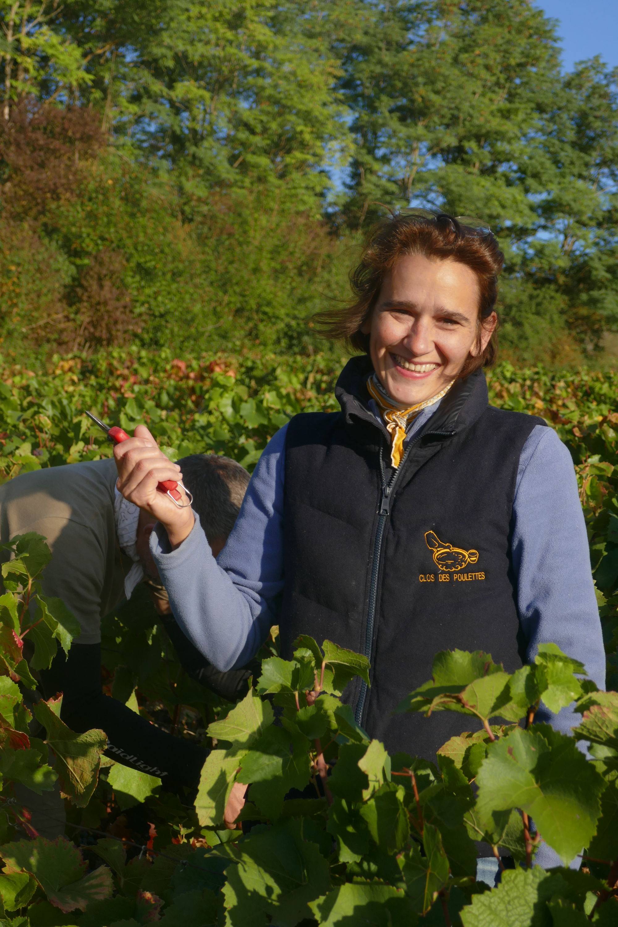 Recrute pour vendanges en Bourgogne 6-7 jours entre le 28 août et le 10 septembre - Domaine familial
