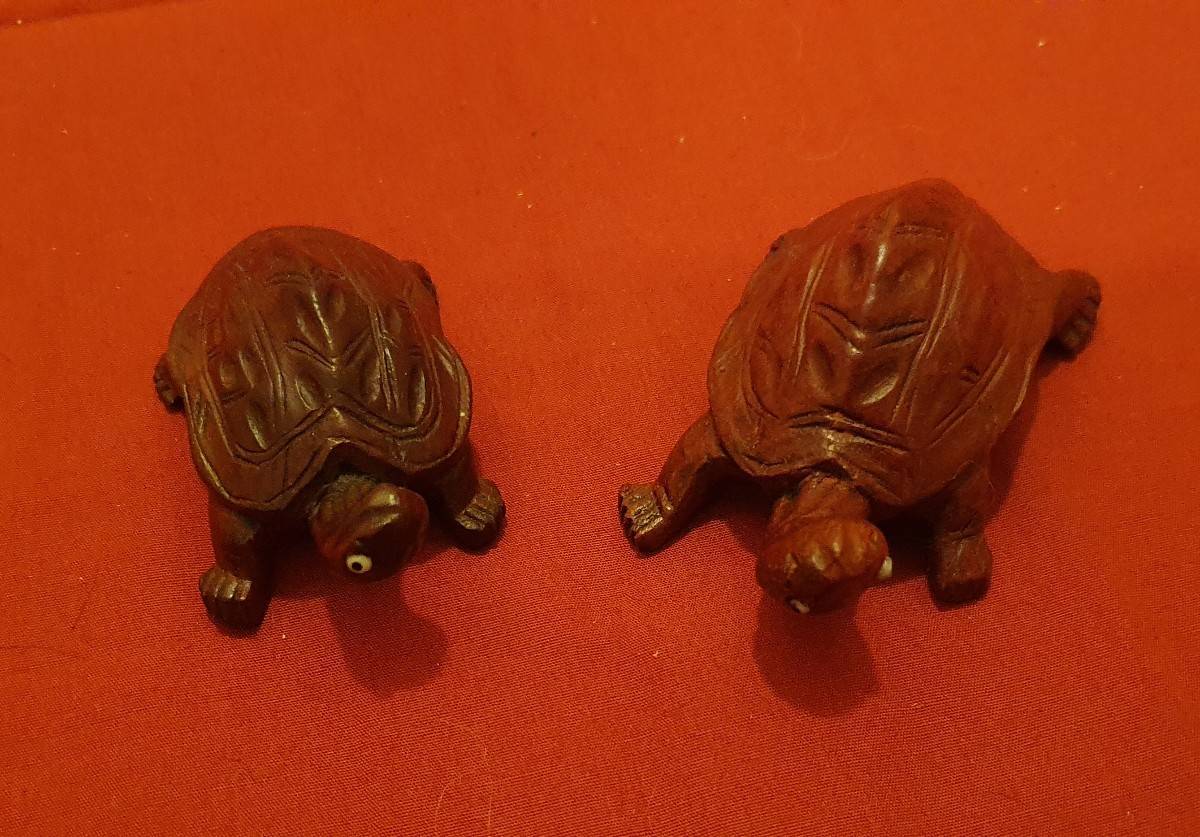 À vendre collection tortues