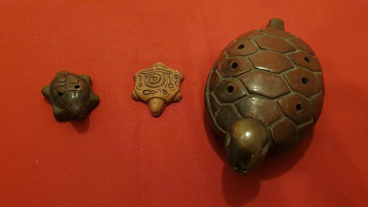 À vendre collection tortues 🐢