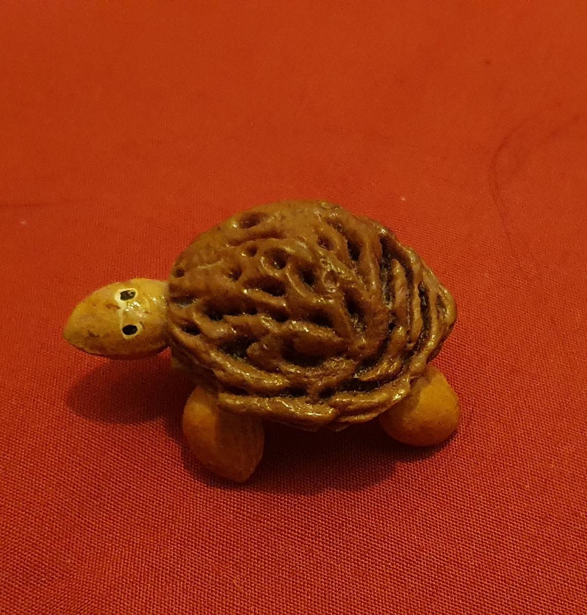 À vendre collection tortues