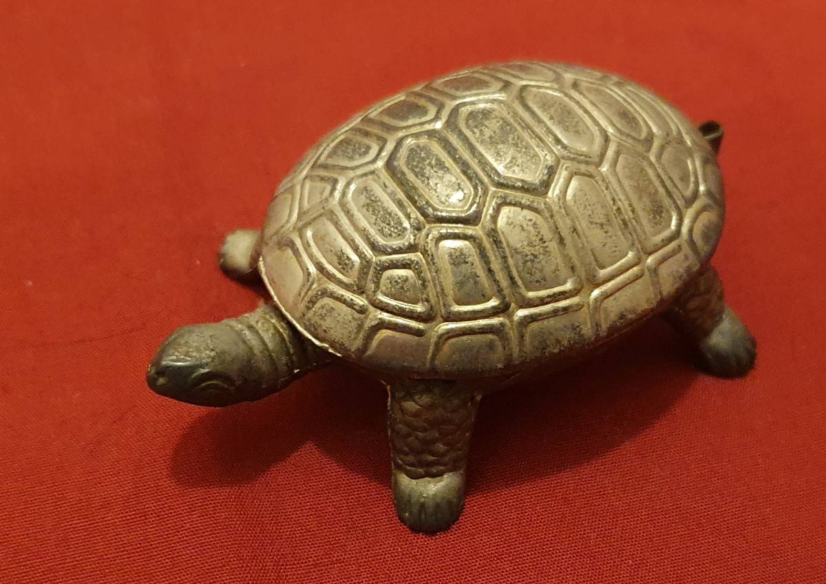 À vendre collection tortues 🐢