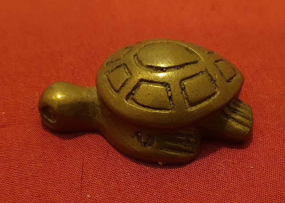 À vendre collection tortues