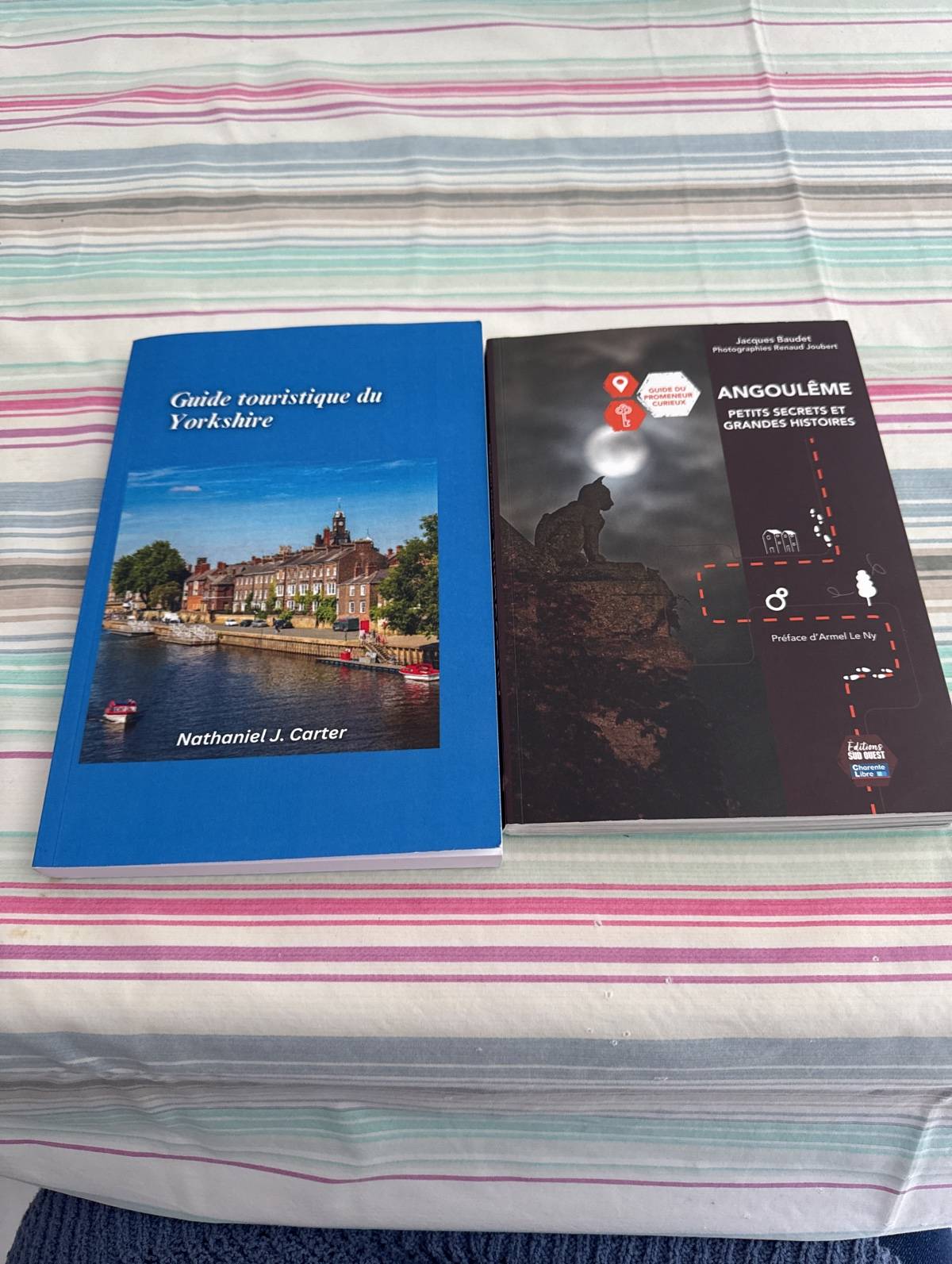 A vendre 2 guides état neuf Yorshire et angoulême