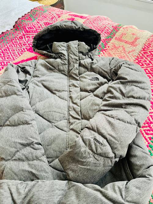 Vends veste The North Face en duvet 550 - Taille XS
