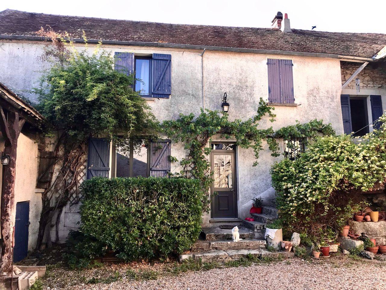 Une photo de l’annonce