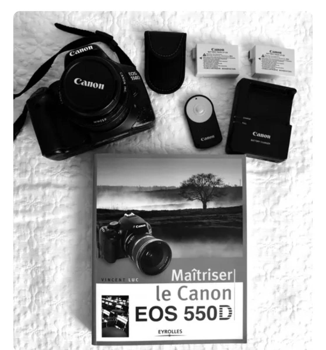 Vends appareil photos Canon et accessoires