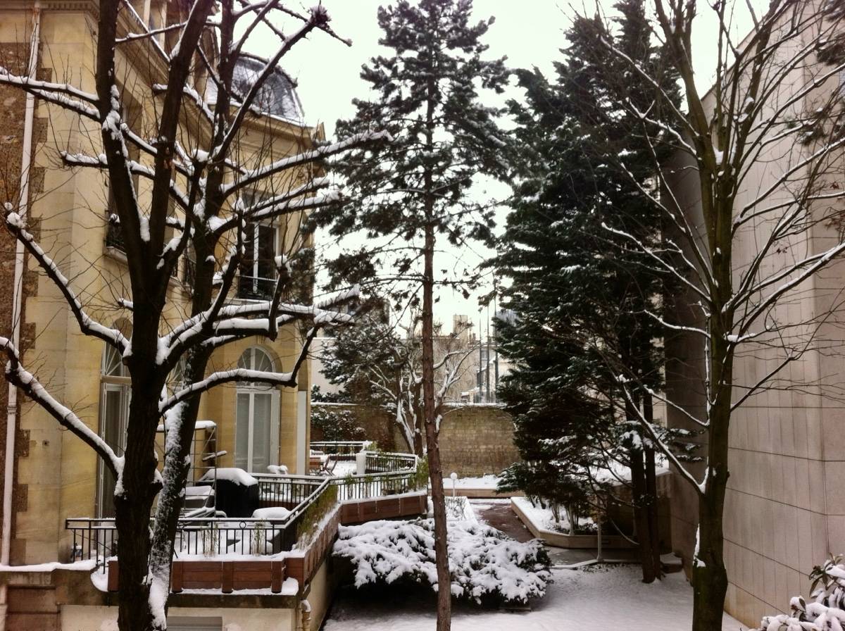 Une photo de l’annonce