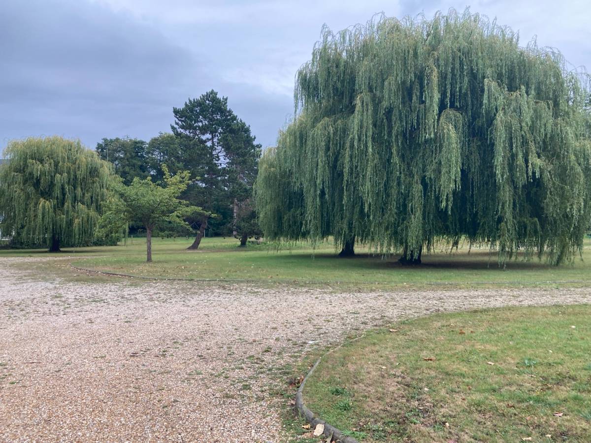 Une photo de l’annonce