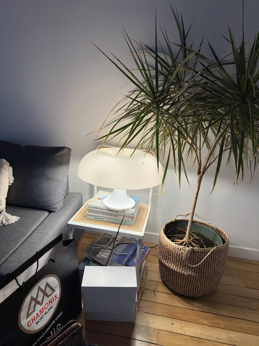 Une photo de l’annonce