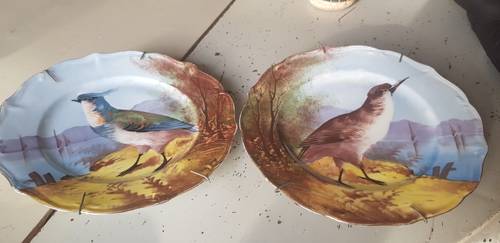 Vends deux assiettes décoratives Limoges