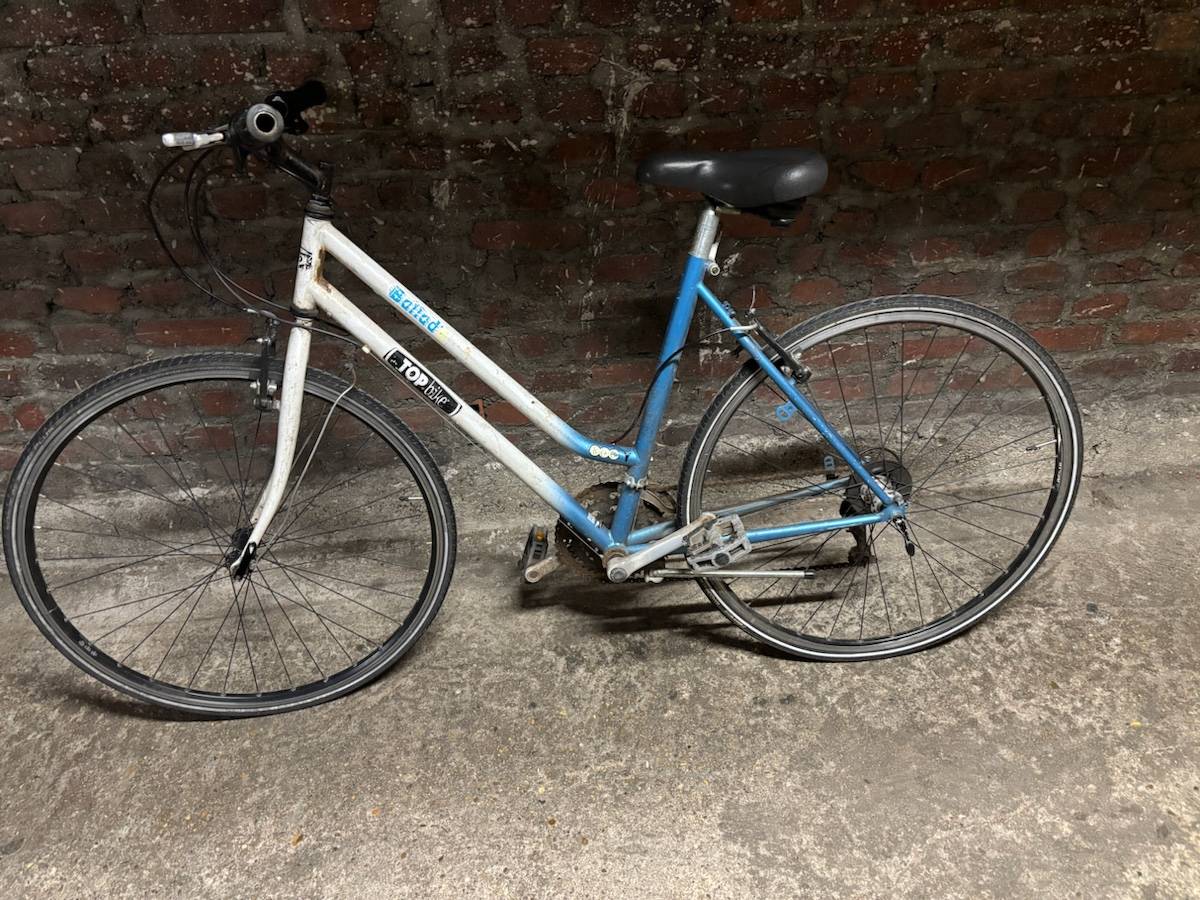 Vends vélo Top Bike ballad