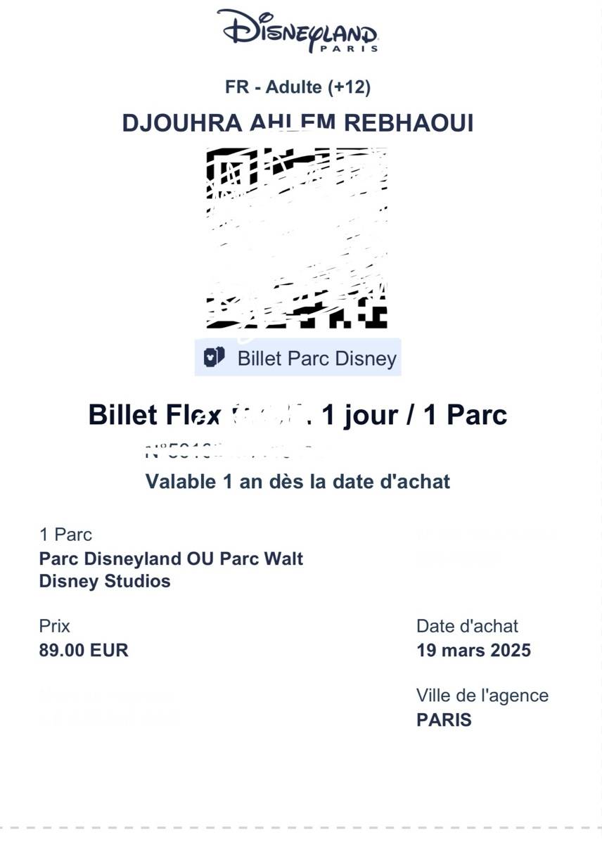 Vends deux billets Disneyland Paris
