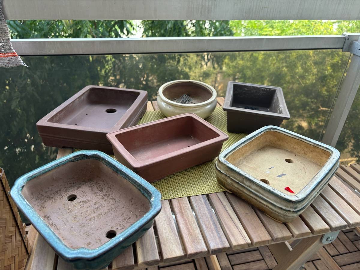 Vends Pots à bonsaïs