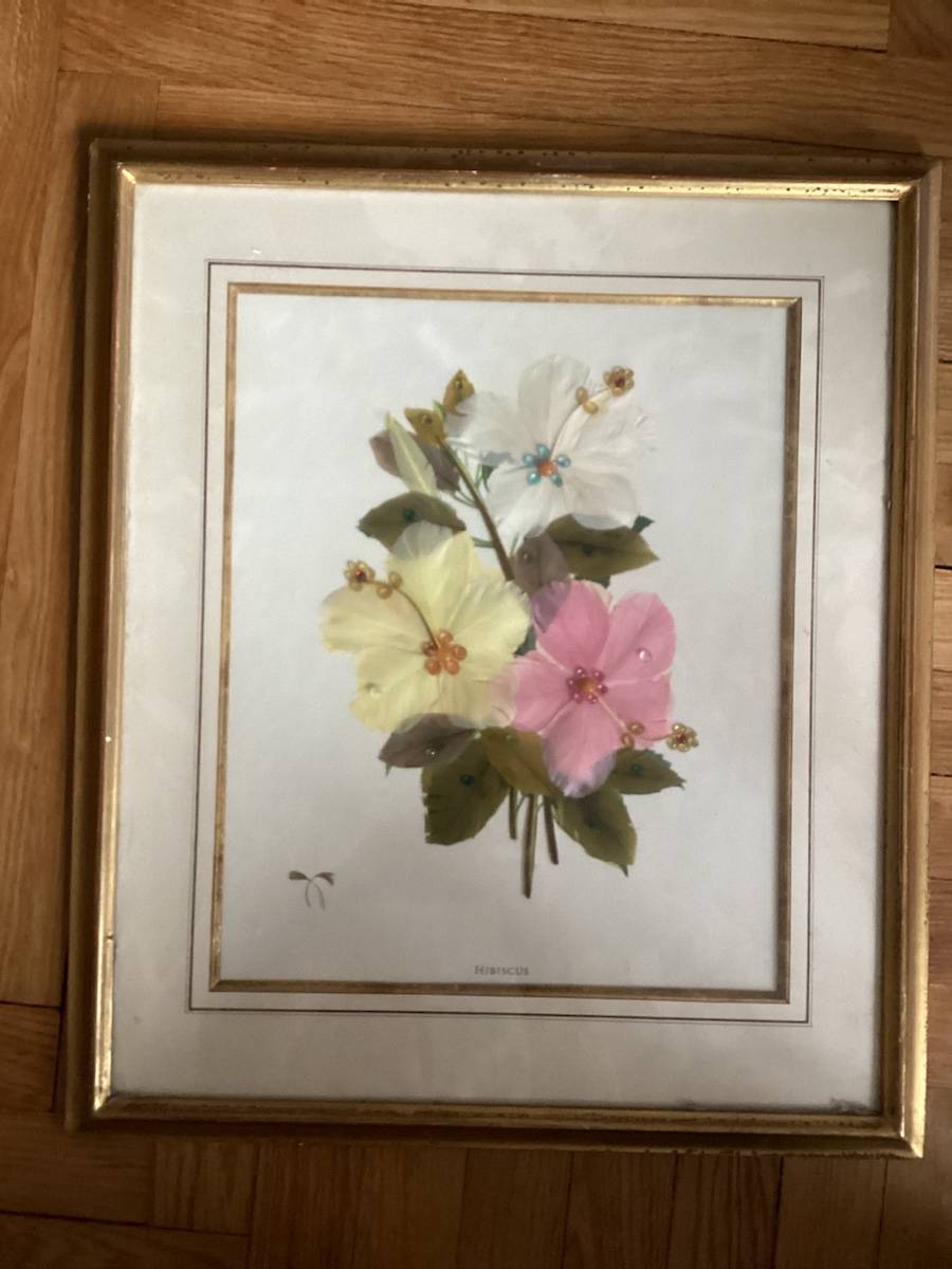 Vends cadre hibiscus