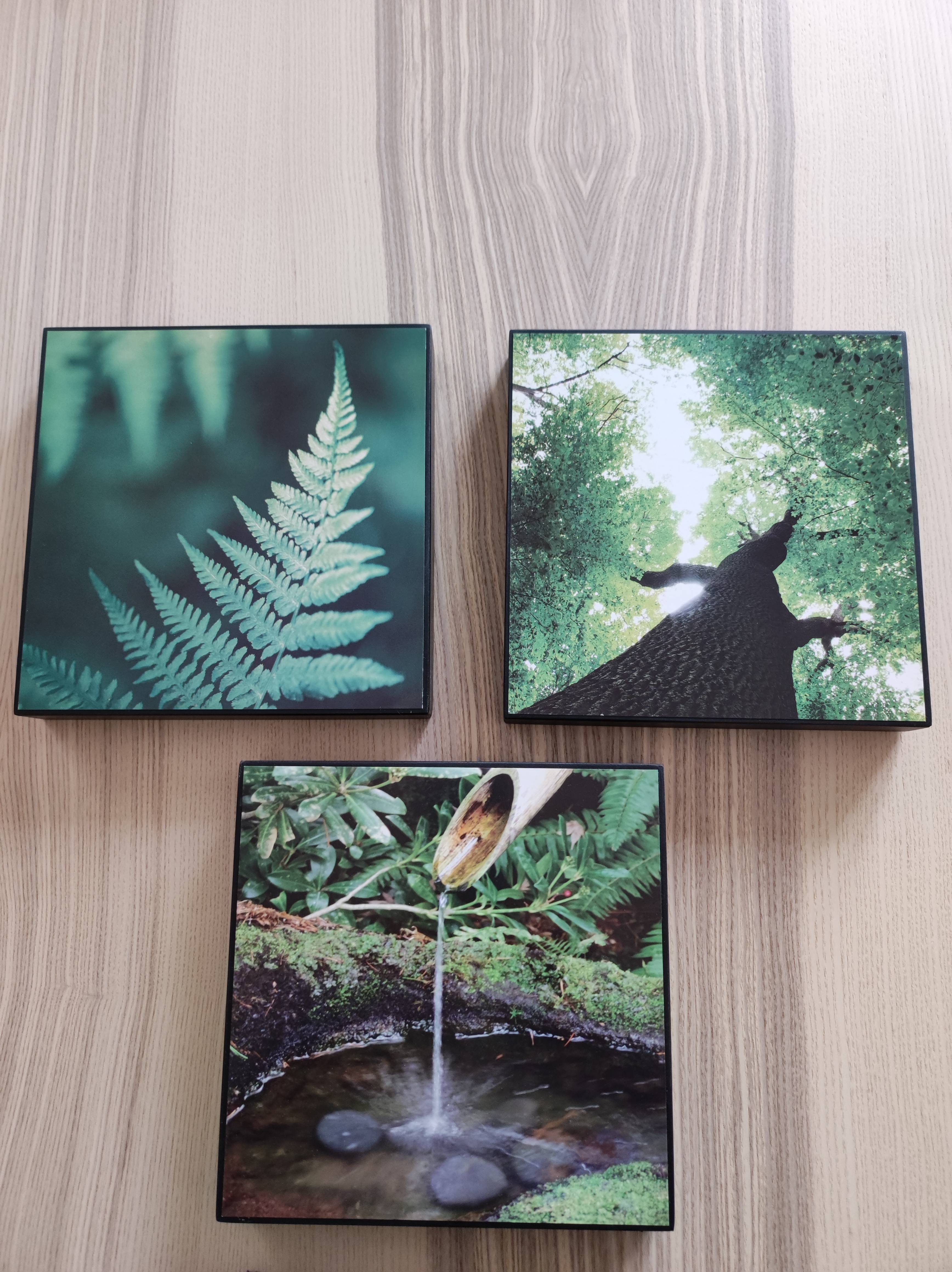 Vends lot de 3 cadres