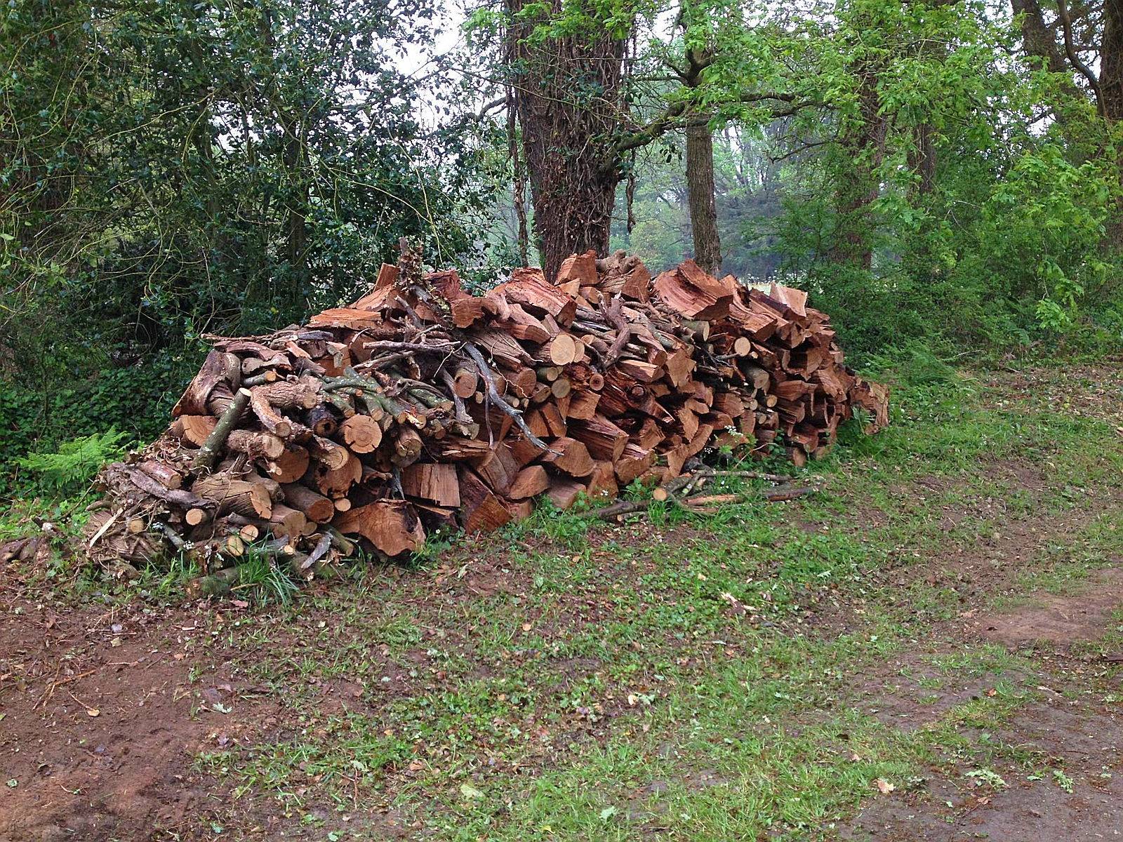 Vends bois de chauffage Chêne - Région sud Vannes 56