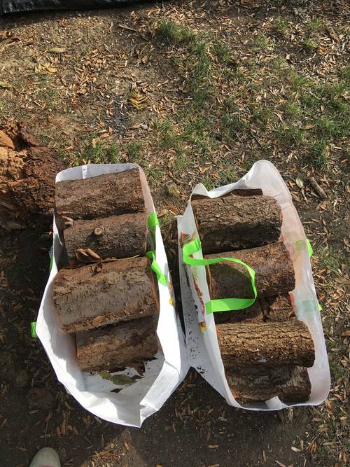 Vends bois de chauffage (prunier)