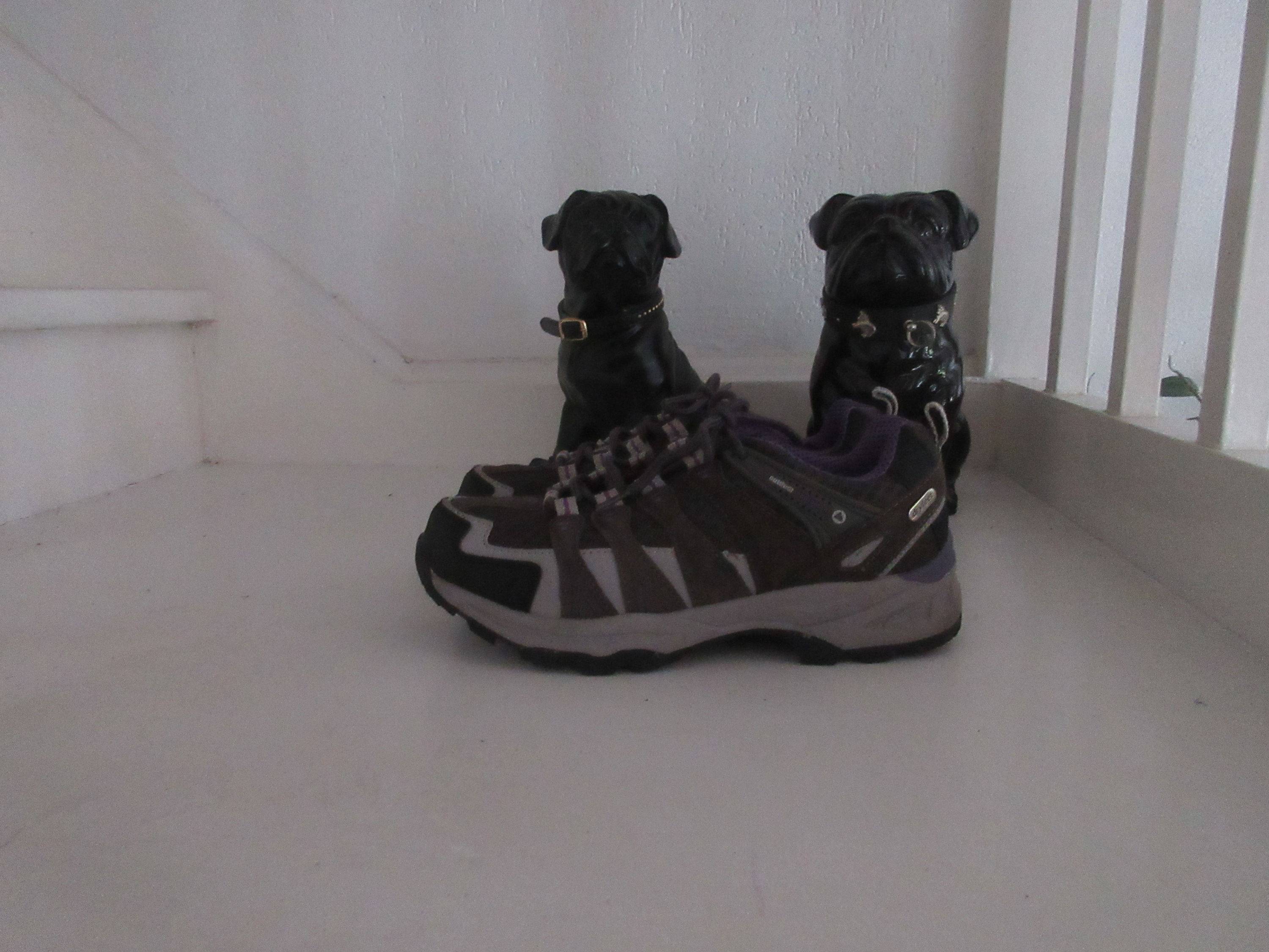 Vends chaussures de randonnée Outdoor équipement 40 "Dry feet"