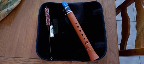 Vends une clarinette type "chalumeau"
