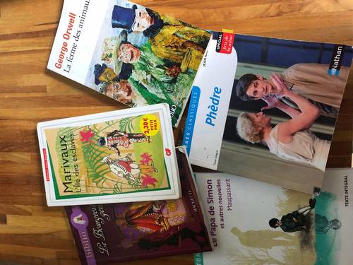 Vends "classiques" français
