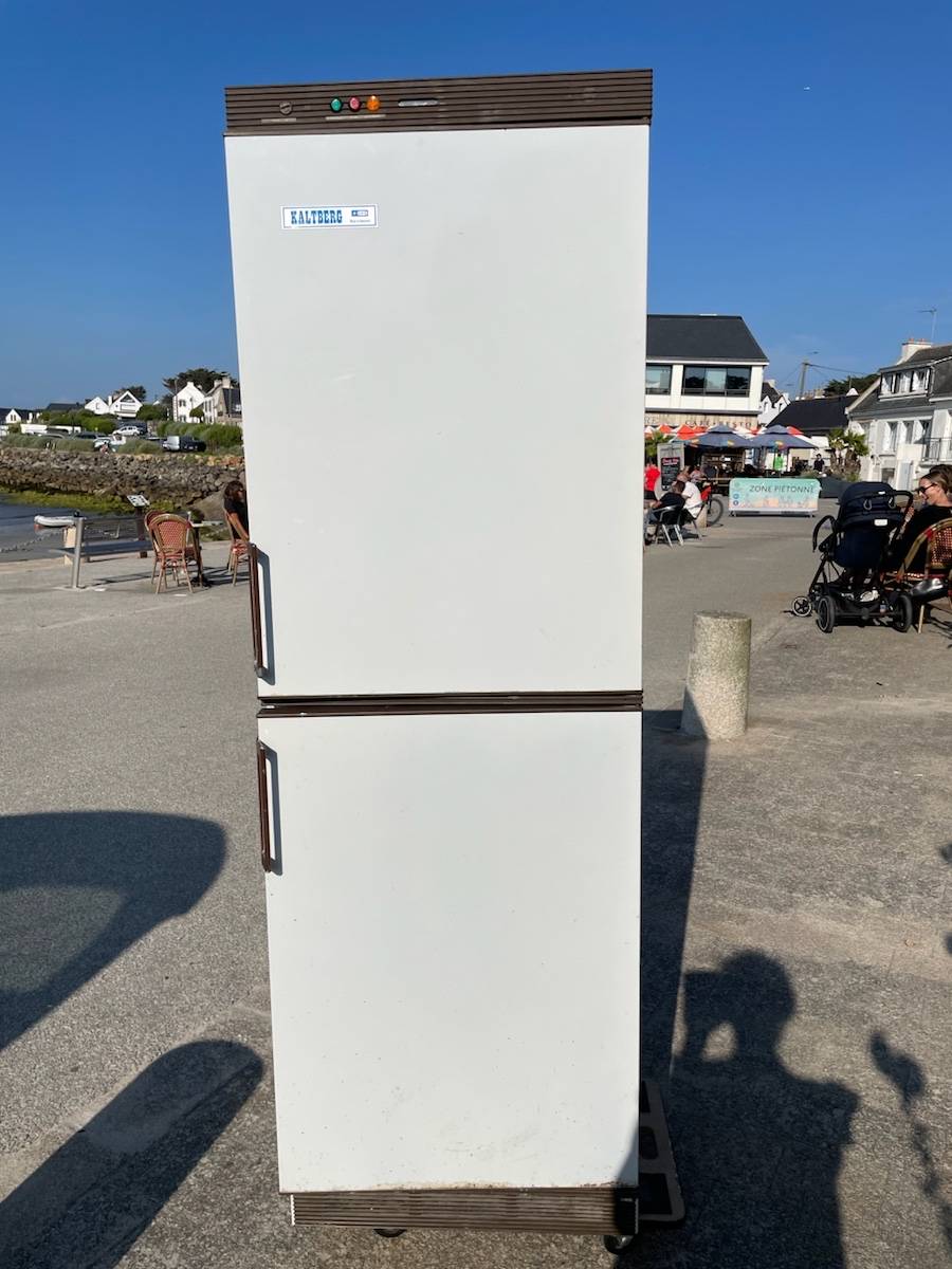 Vends congélateur professionnel 300 litres