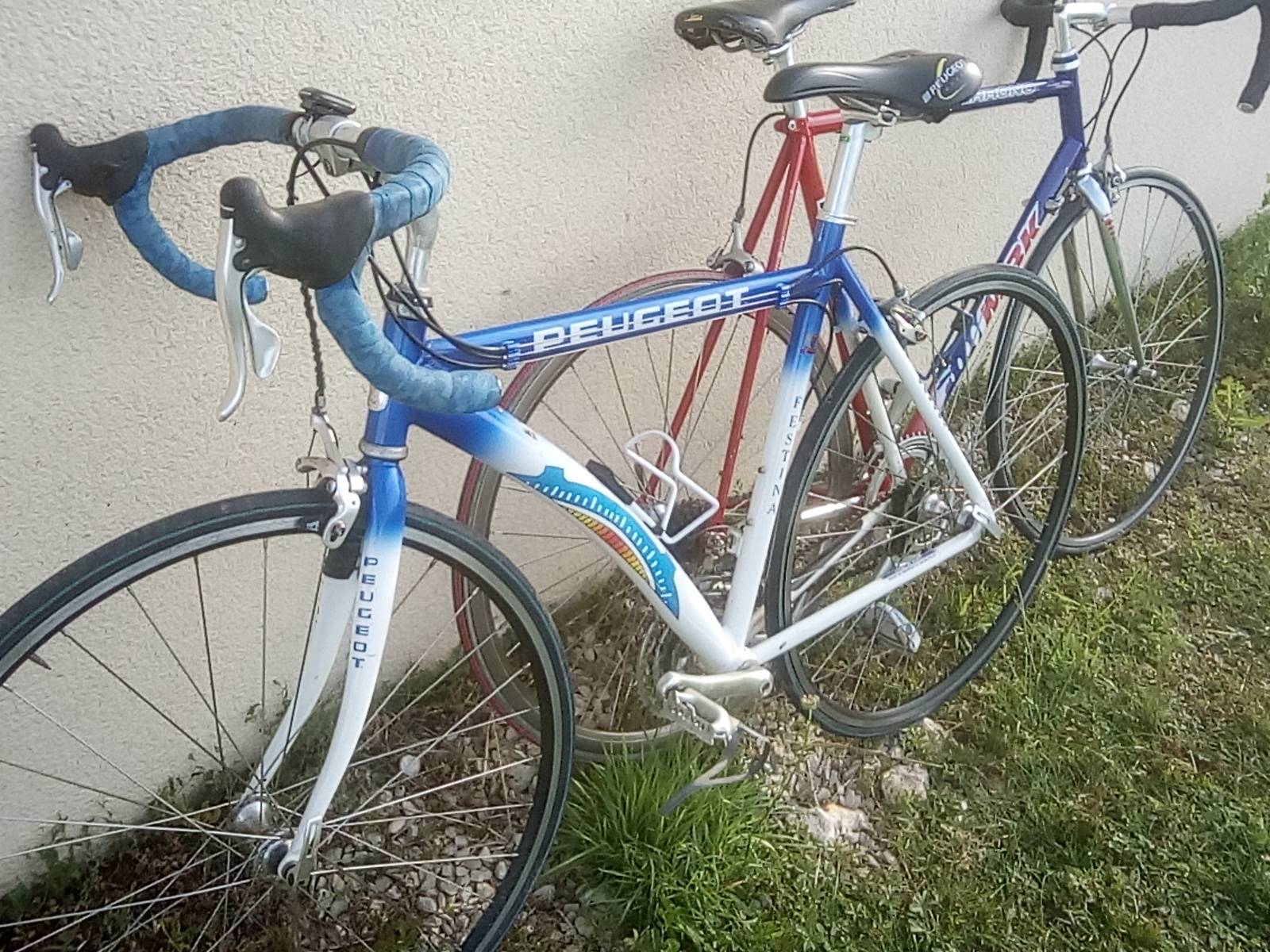 Vends ou loue vélo de course