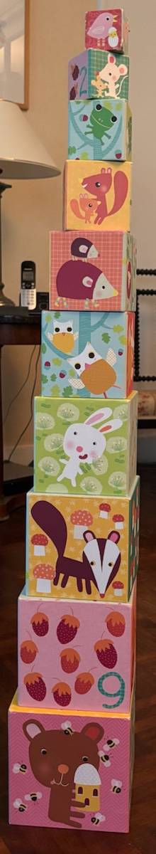 Vends 10 cubes empilables Djeco forêt