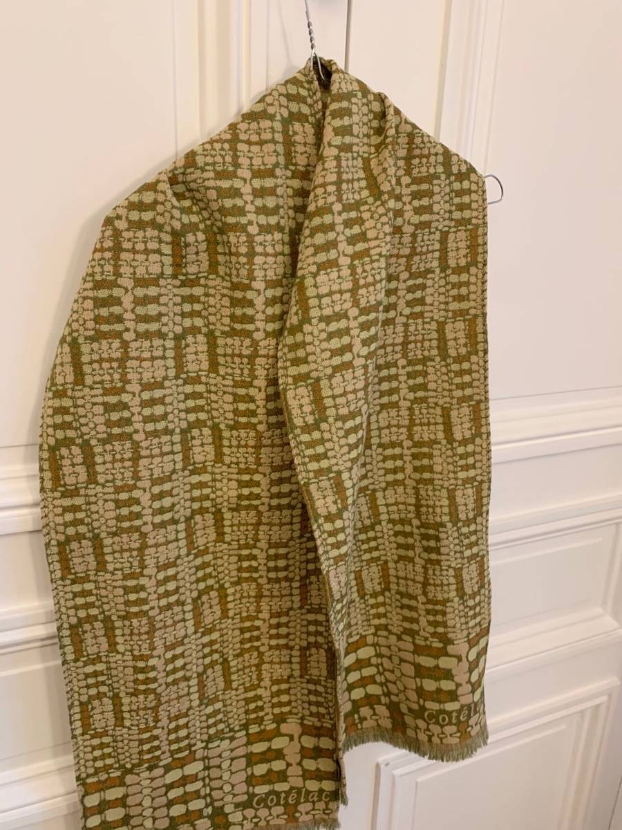 Vends écharpe laine et soie Cotelac