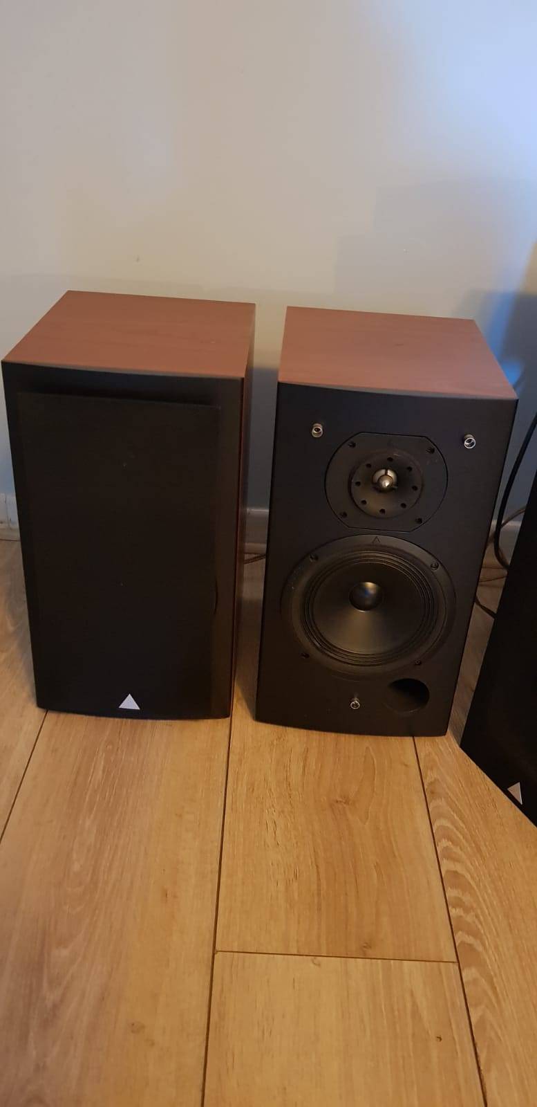 Vends enceintes Triangle comete 902