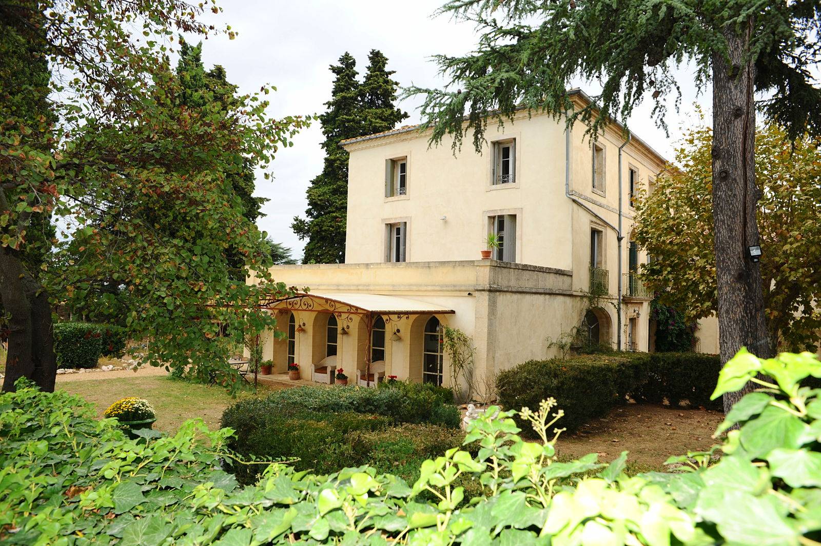 Une photo de l’annonce