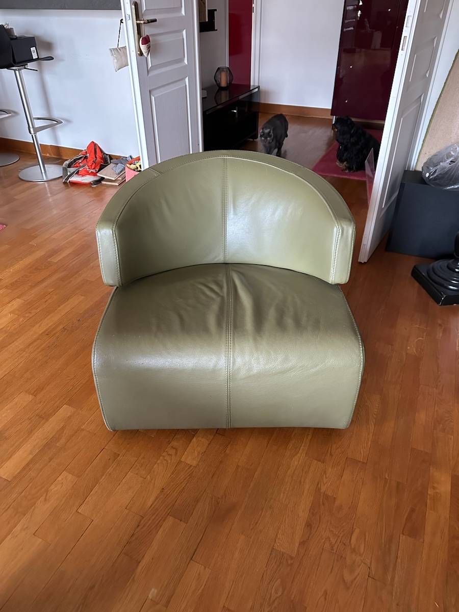 Vends Fauteuil Cuir pleine fleur Steiner Kola