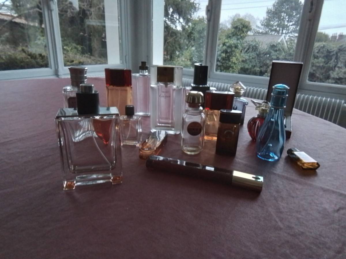 Vends 18 flacons de parfum vides pour collectionneurs