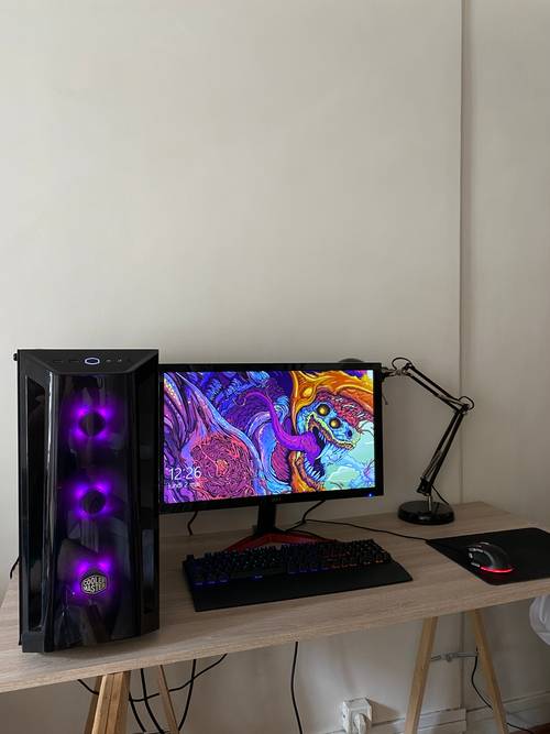 Vends set up gaming pc gamer