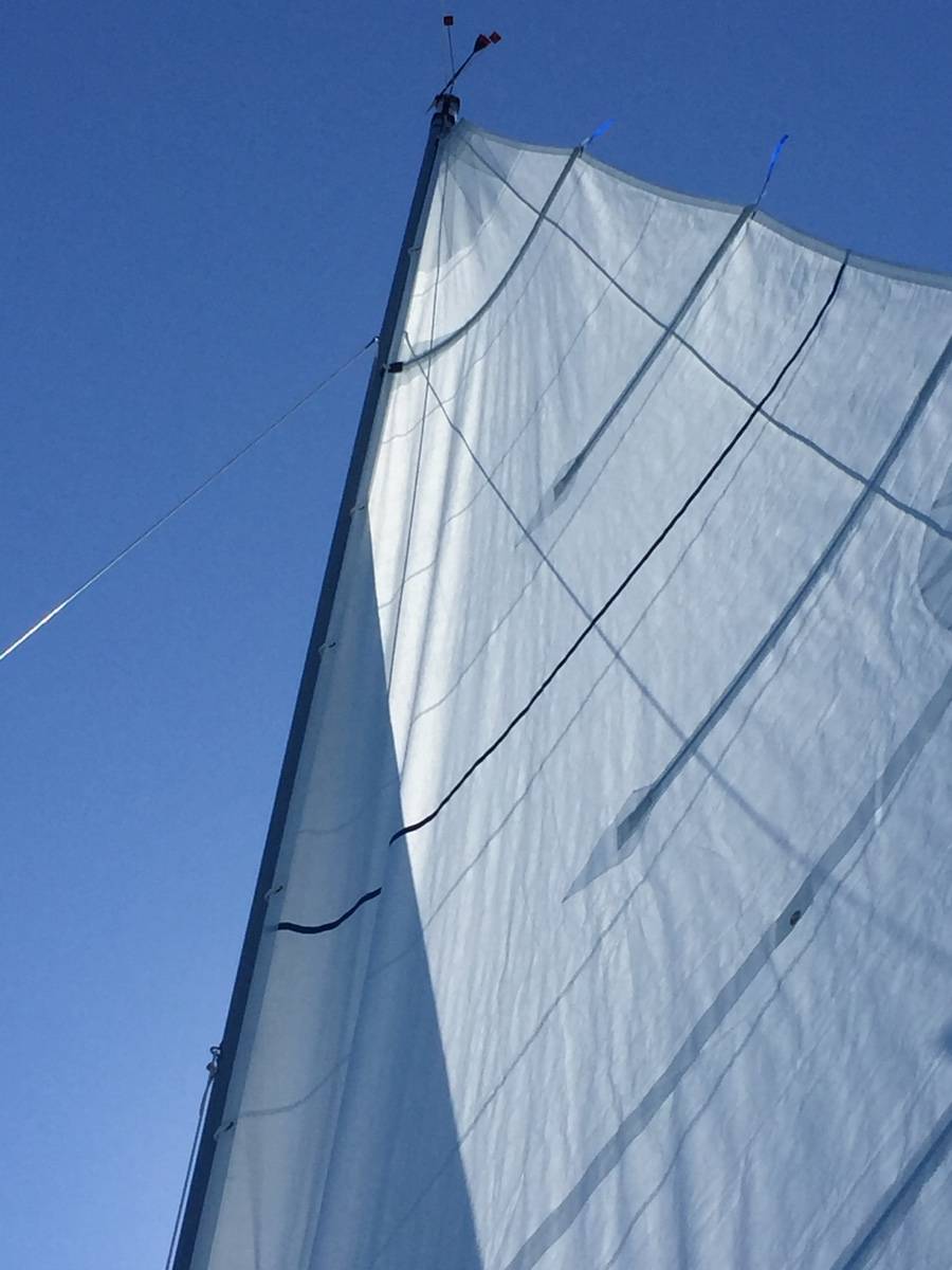 Je vends une grand voile de chez technique voile en excellent état