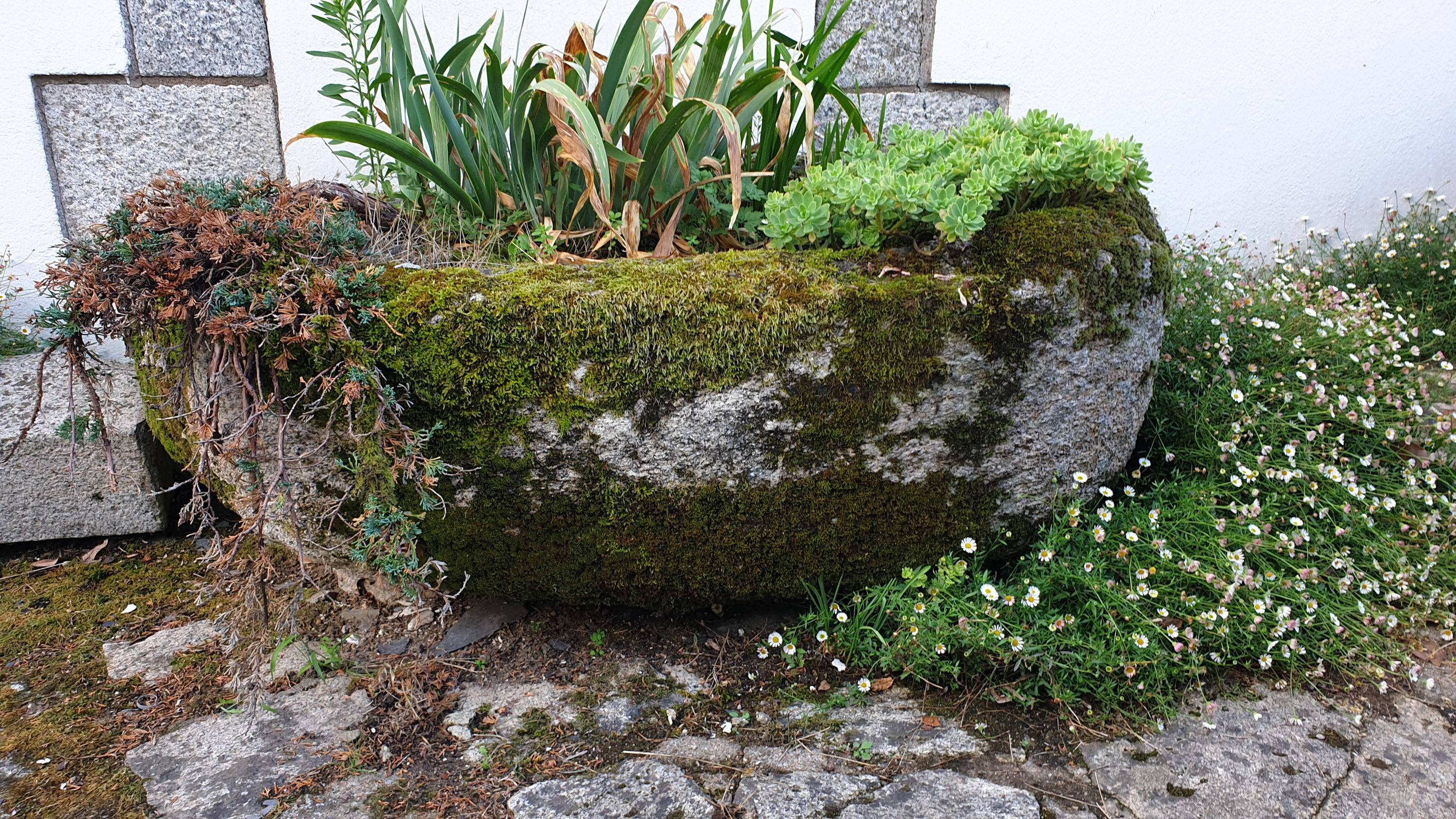 Vends auge en granit très ancienne