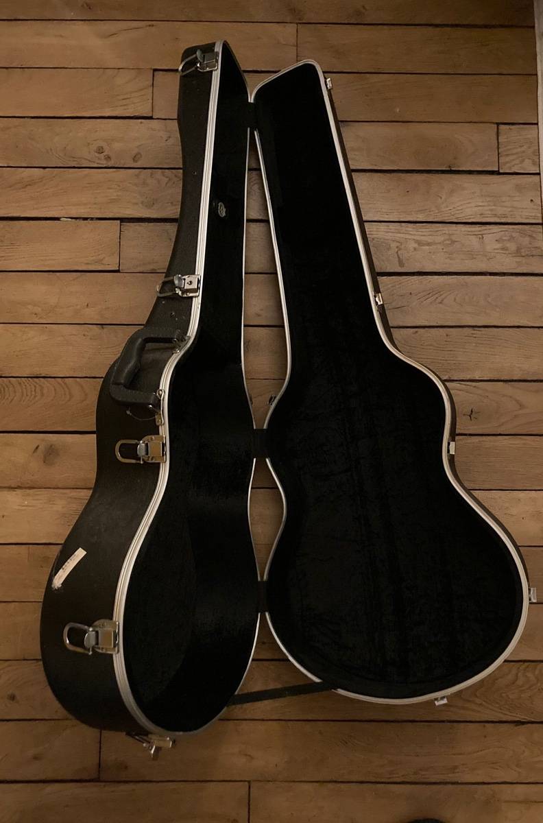 Vends étui de guitare