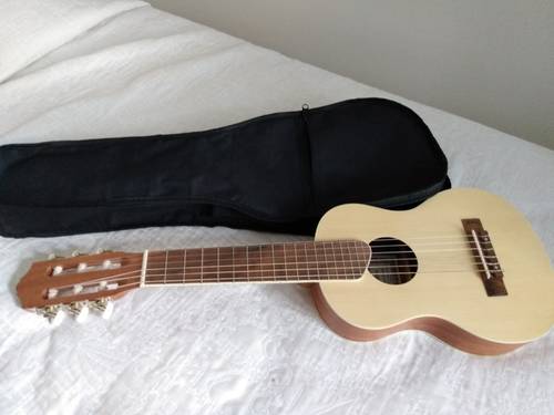 Vends Guitarrita avec housse