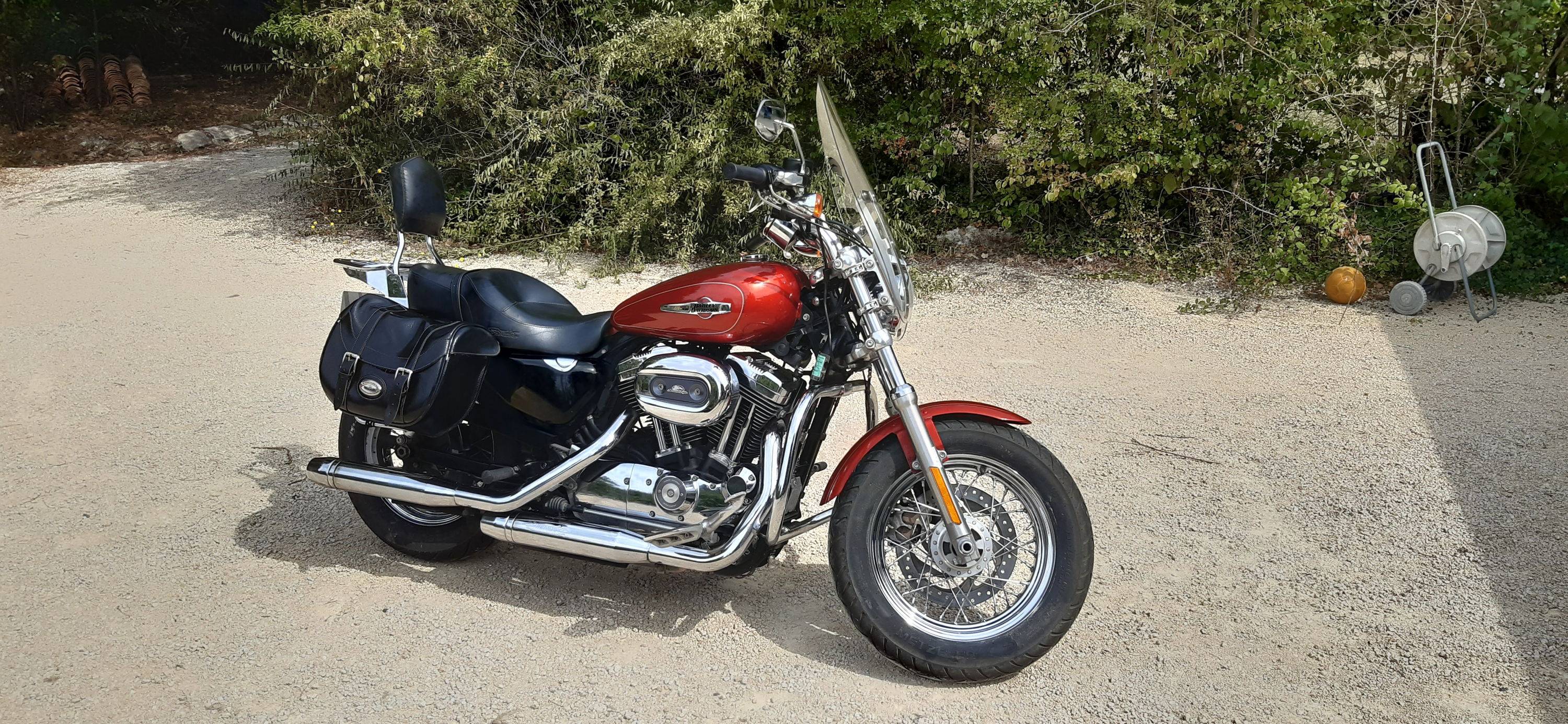 Vends Harley Davidson Sportster 1200 custom Stage 1, 2014, 37568km