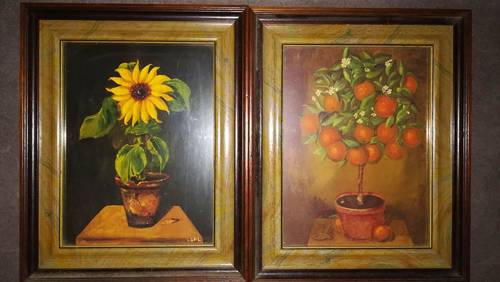 Vends 5 jolies reproductions encadrées. Bon état. Format 25Lx31H
