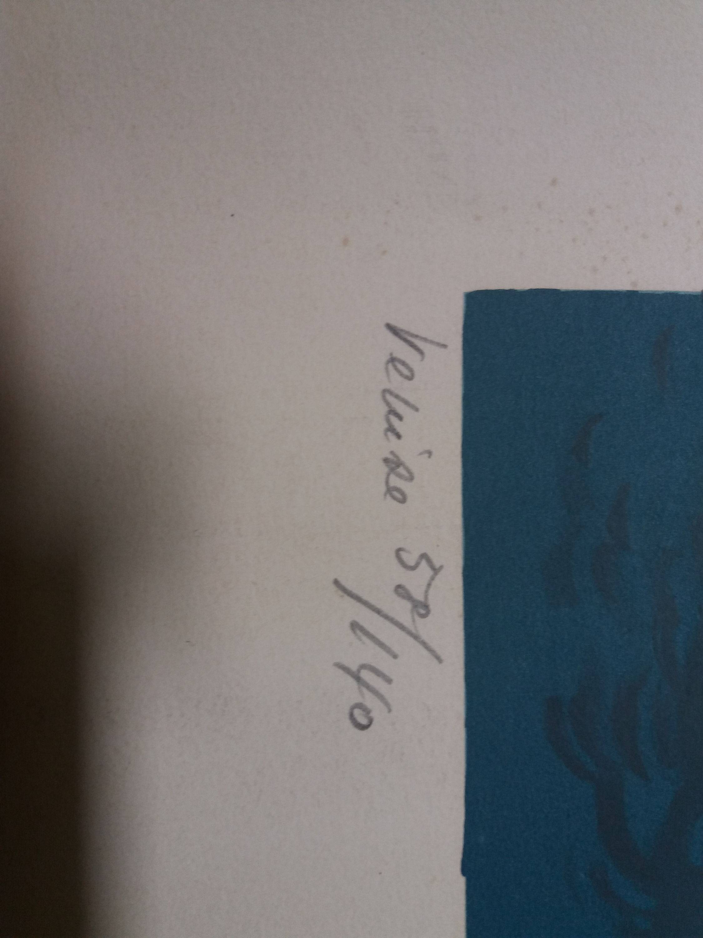Vends lithographie de Picard Le Doux