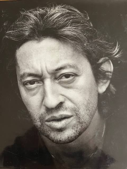Vends livre collector Gainsbourg