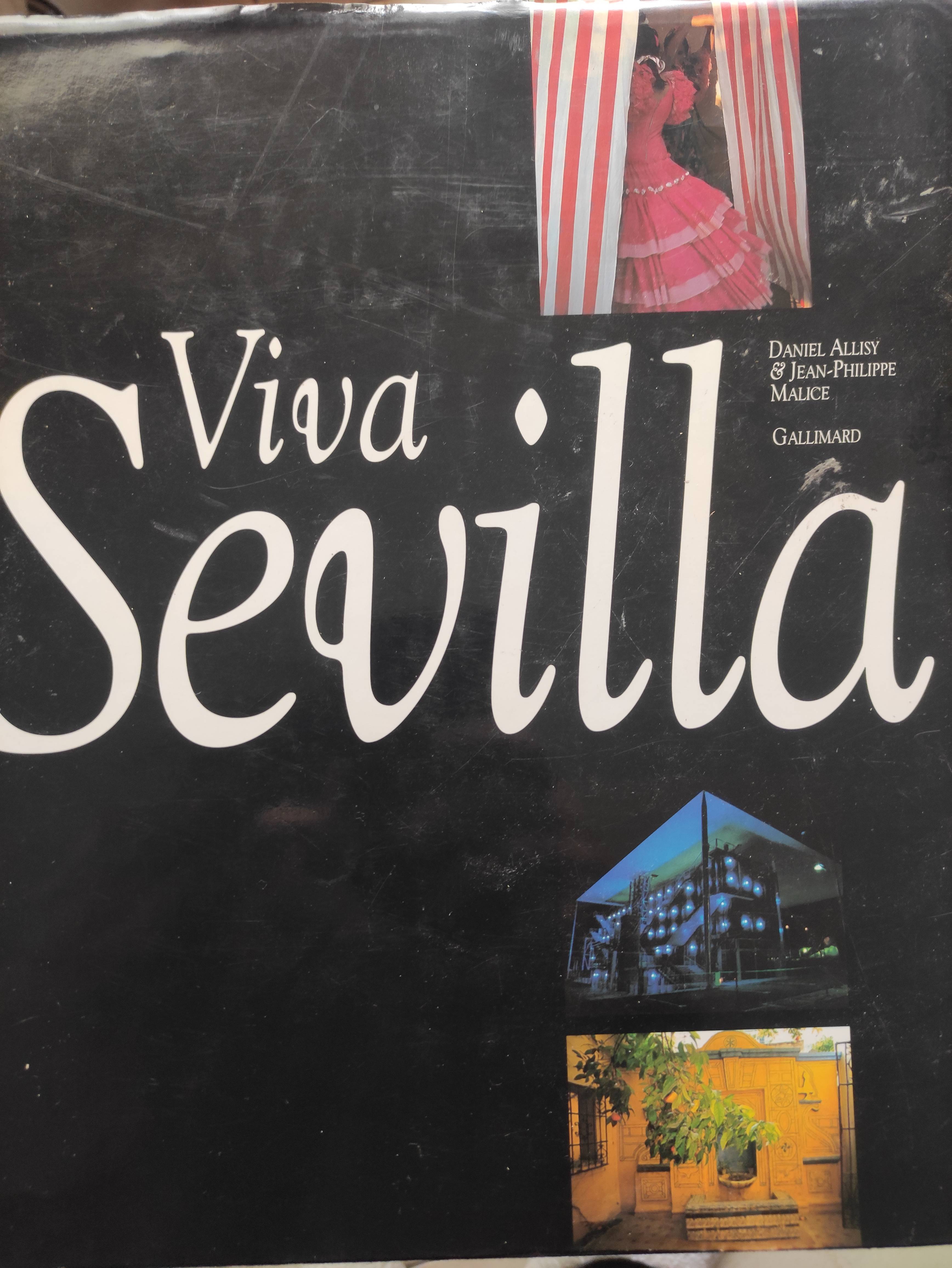 Vends livre Viva Sevilla en parfait état