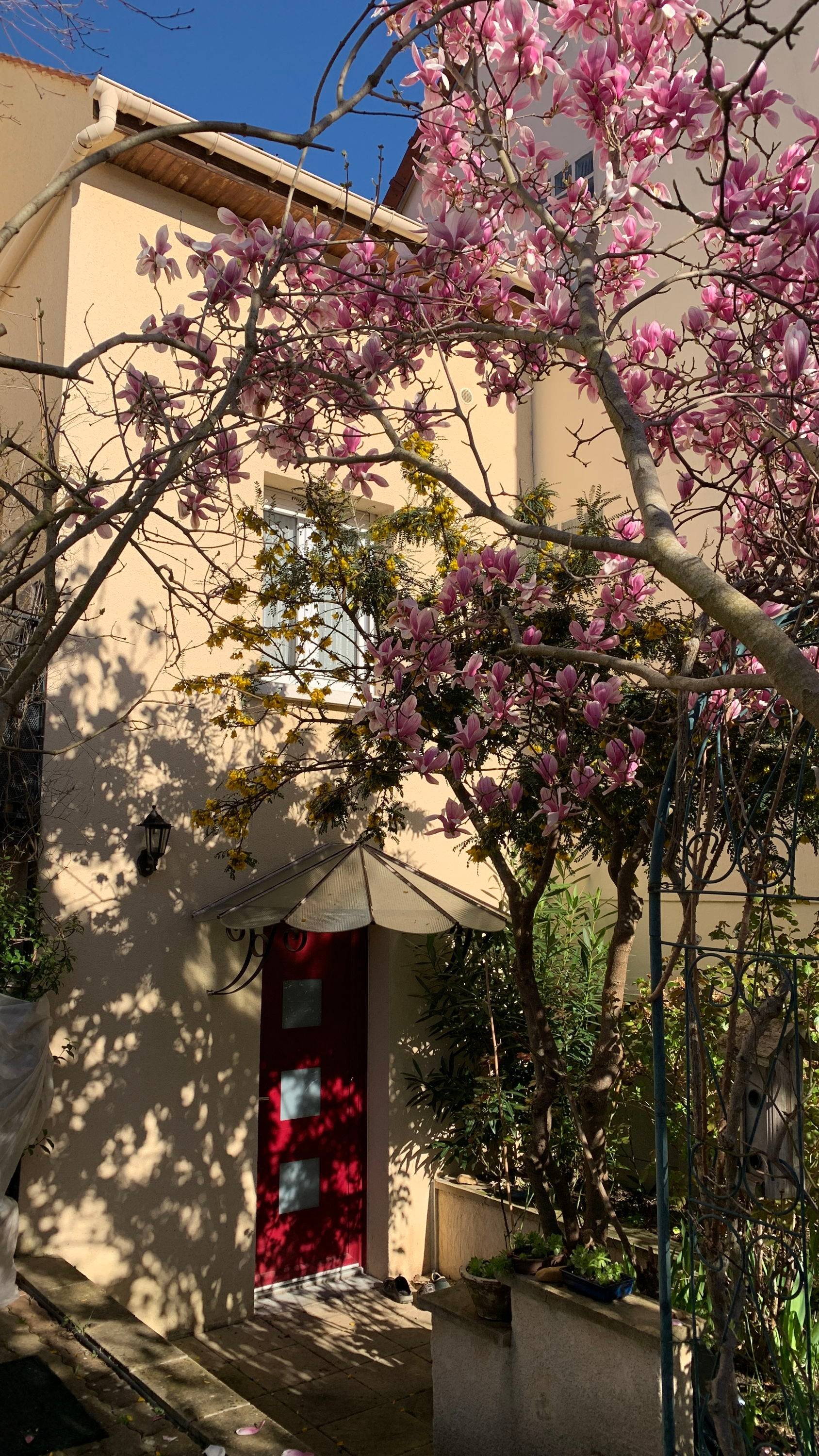 Une photo de l’annonce