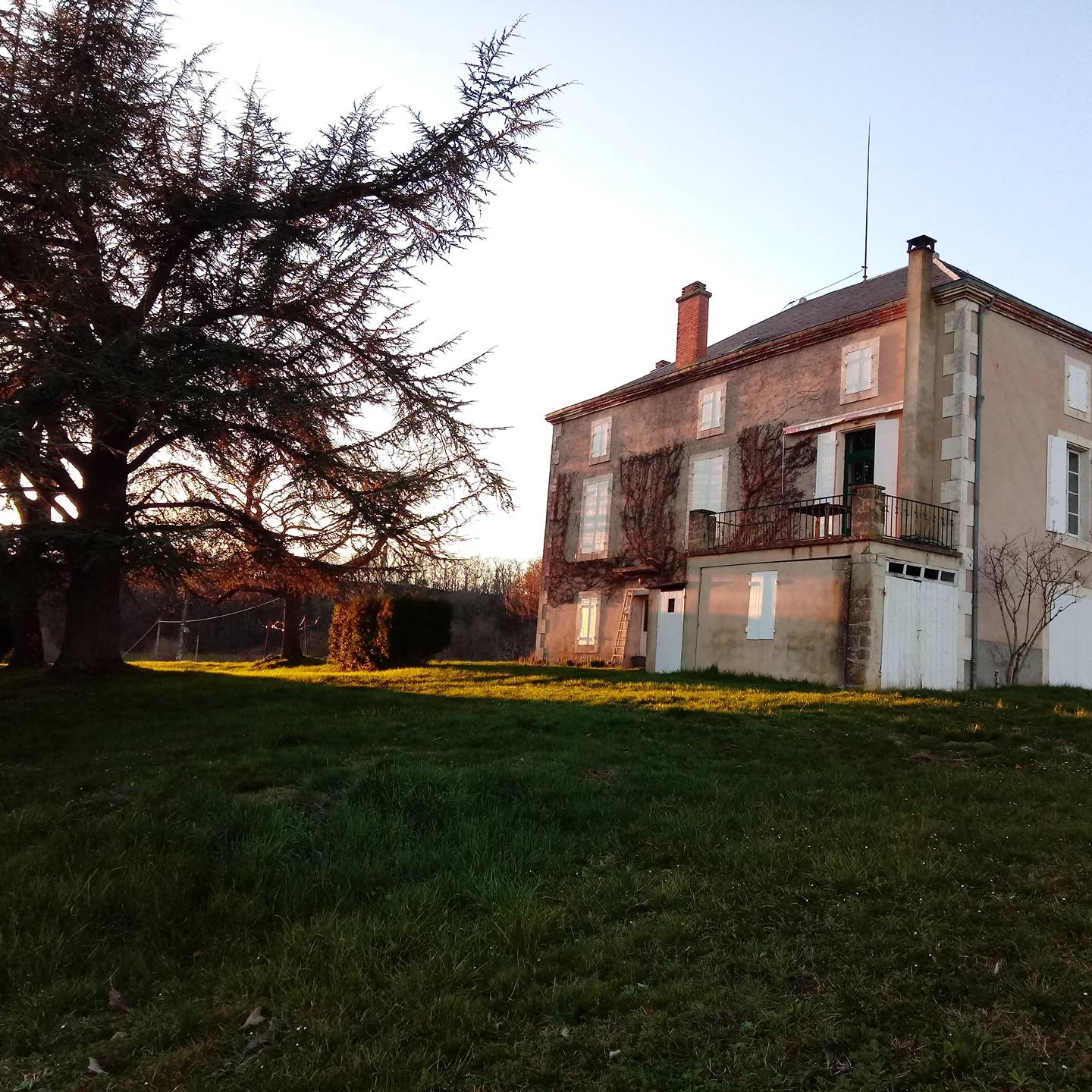 Une photo de l’annonce