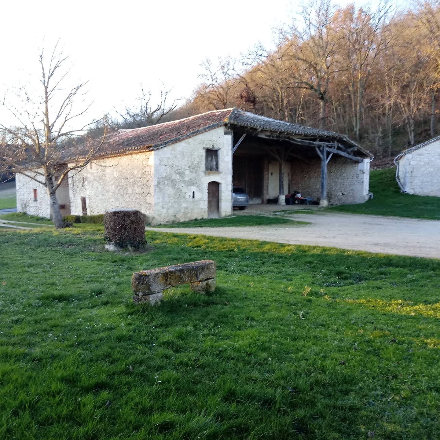 Une photo de l’annonce