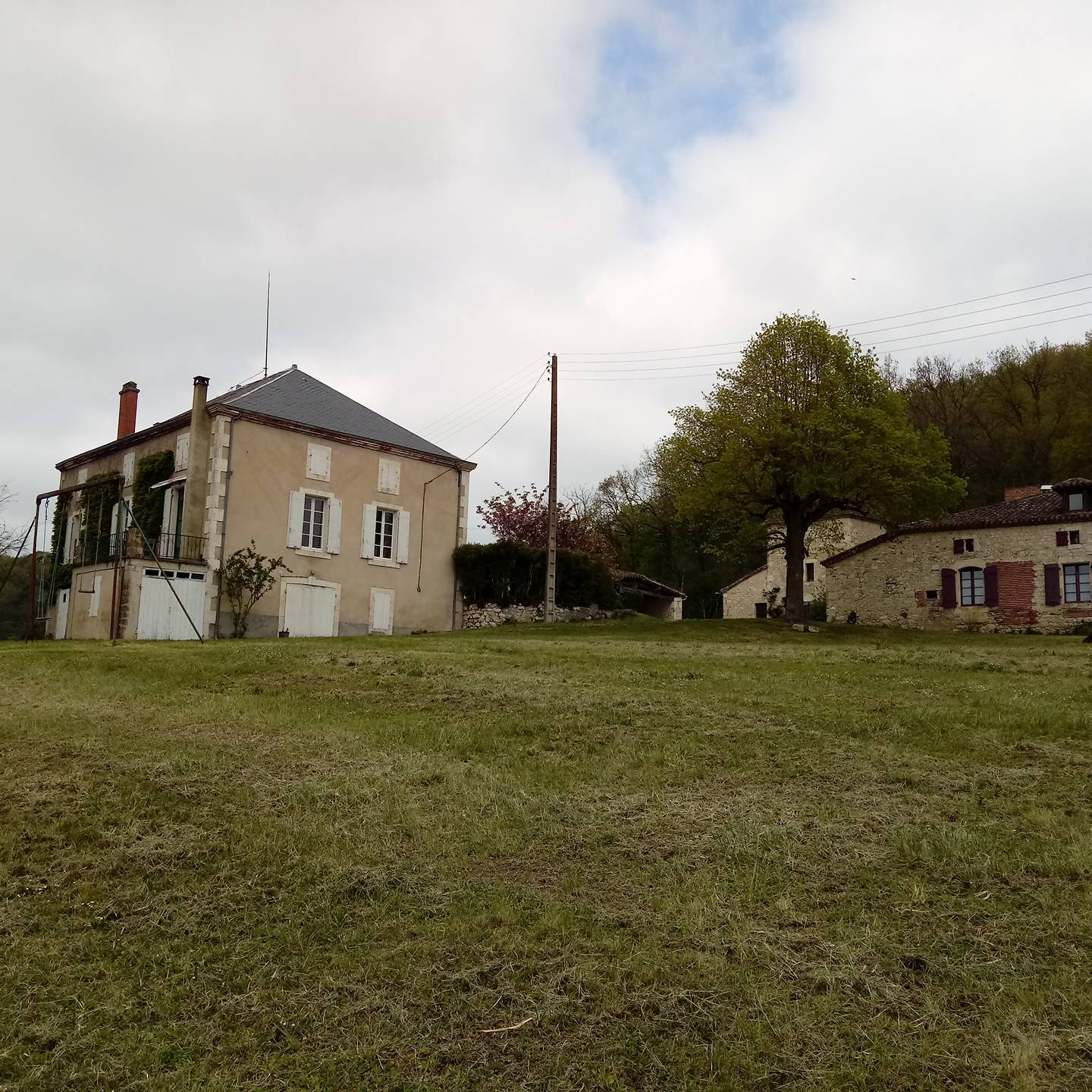 Une photo de l’annonce